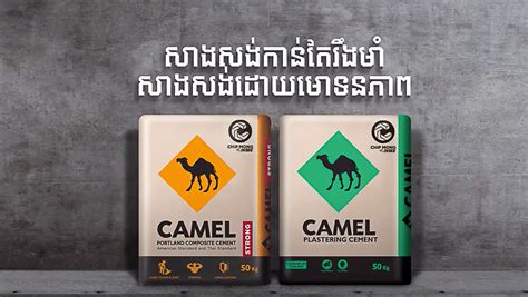 camel camle|Popular Products 